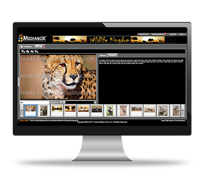 Computer-wDAM-Screenshot_9-2017 Mediabox DAM