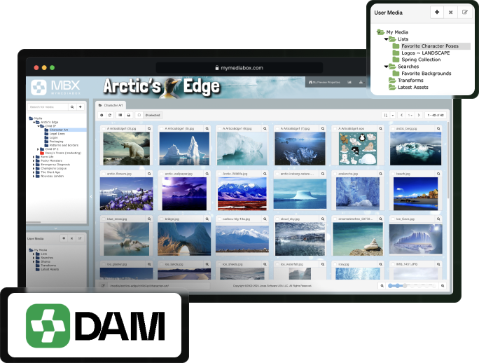 Mediabox-DAM interface showing an 'Arctic's Edge' brand asset library with a grid of landscape image thumbnails and a folder/collections sidebar, with the DAM logo overlaid.