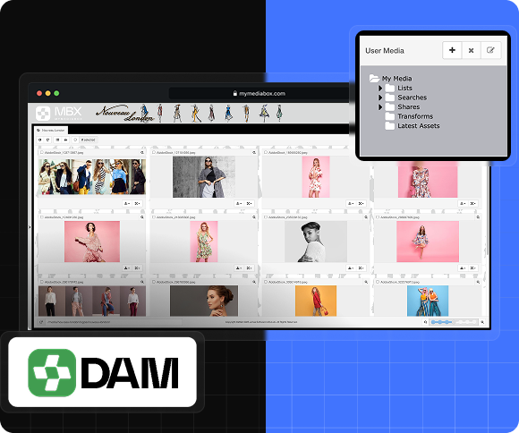 Digital Asset Management Software-image