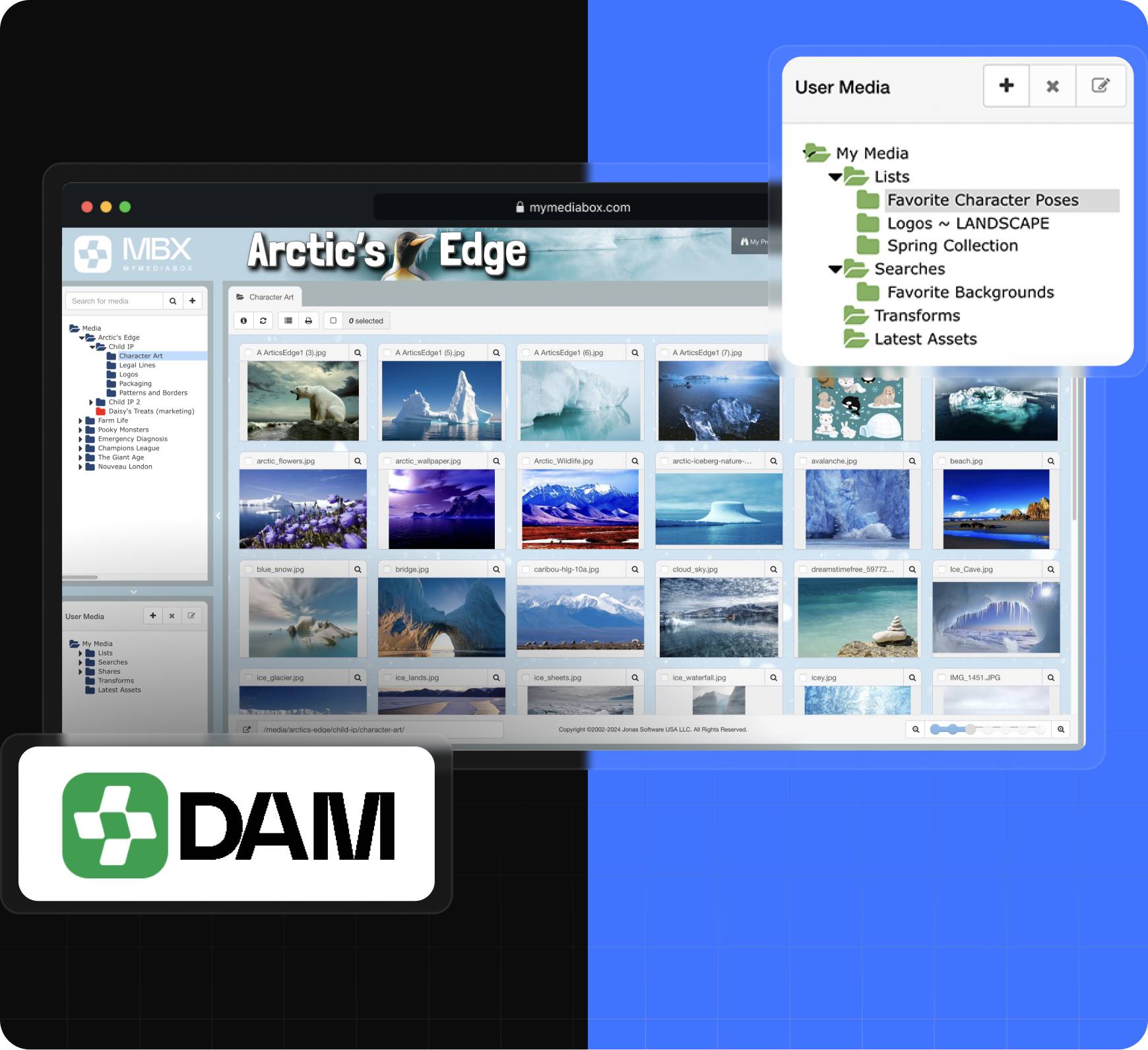 Digital Asset Management Software-image (1)